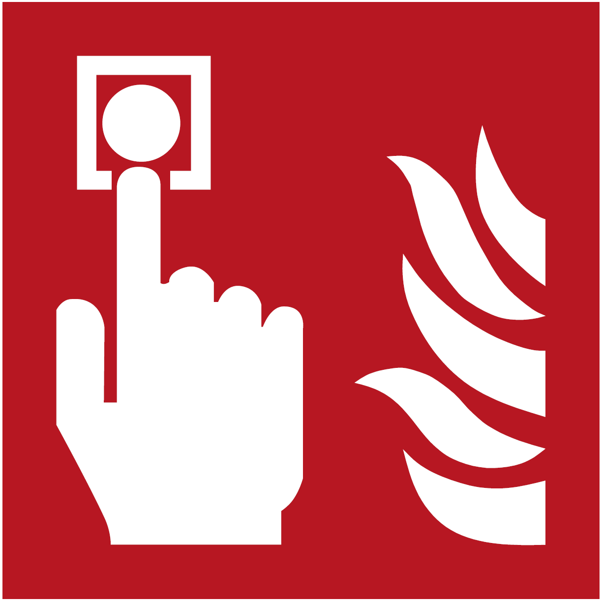 F005 Brandmelder