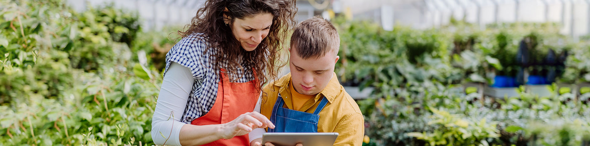 BGW-Lernportal. Flexibel. Online. Lernen.