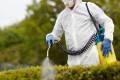 Öffnen Sicherheit und Gesundheit im Garten- und Landschaftsbau (GALA)