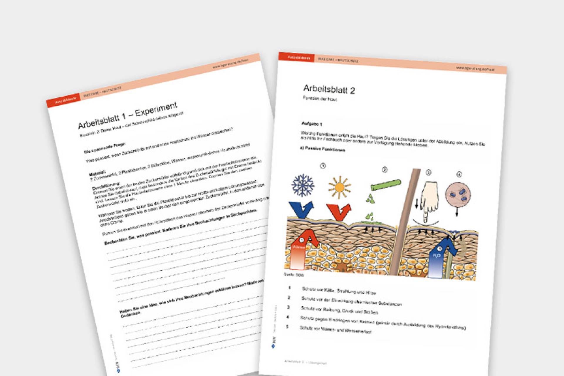 Arbeitsblätter für Auszubildende