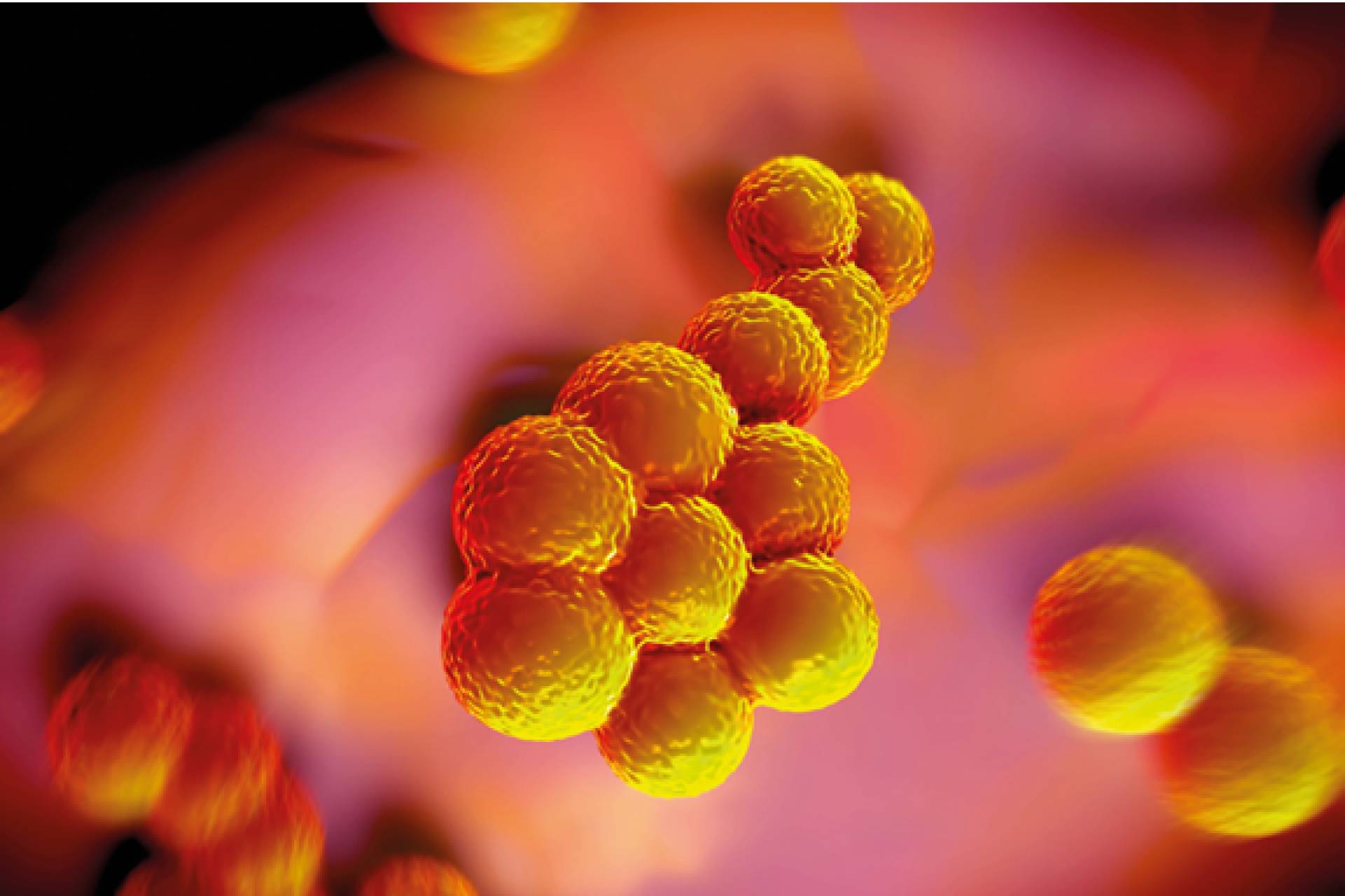 Professionelle Gefährdungsbeurteilung beim Umgang mit biologischen Arbeitsstoffen (BioV)