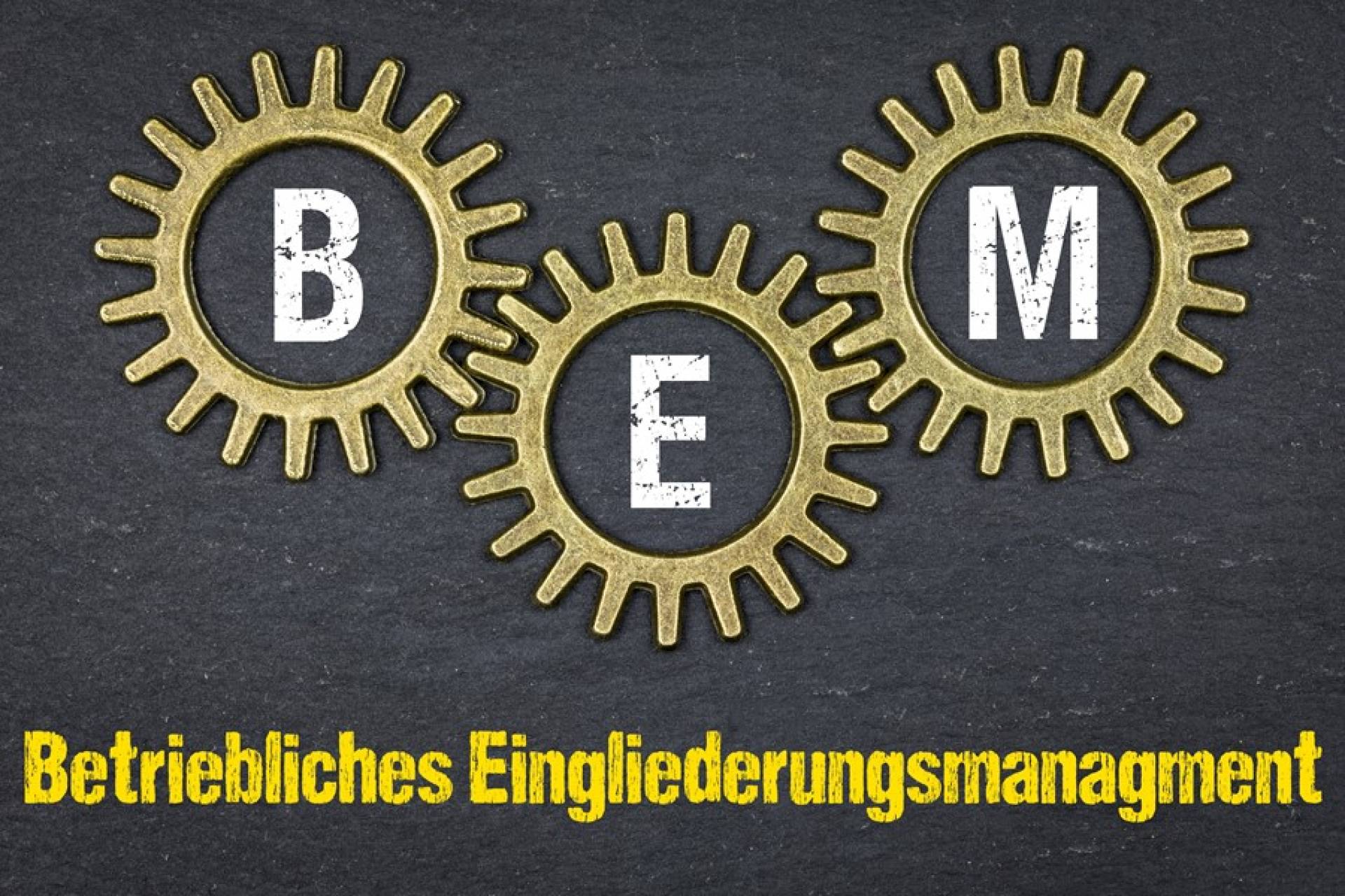 Betriebliches Eingliederungsmanagement erfolgreich im Betrieb verankern (BEM)
