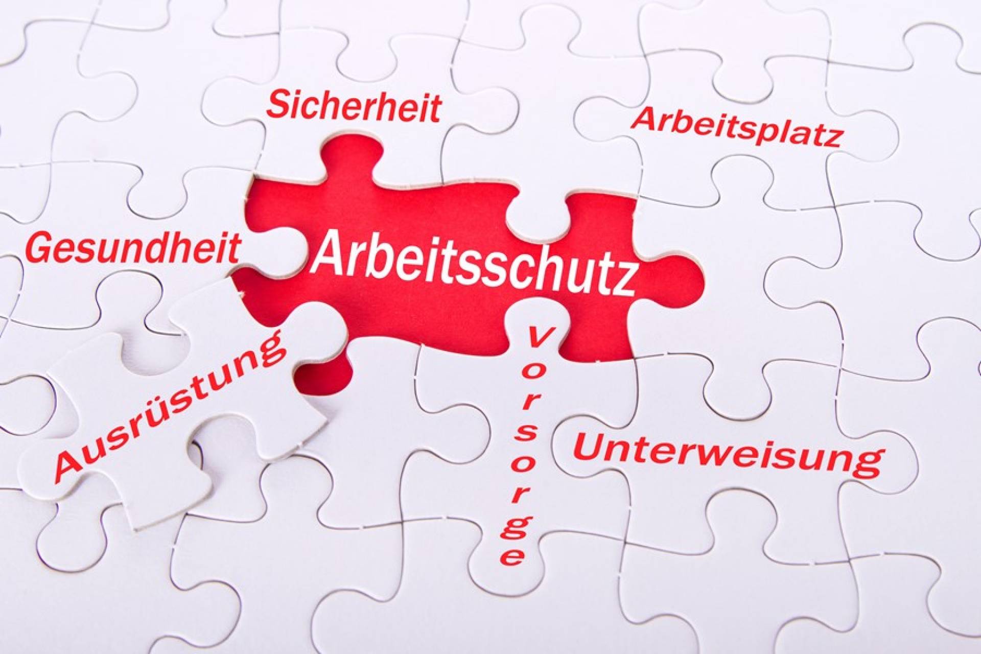 Online-Seminar "Sicherheit und Gesundheit - Führungsaufgabe Arbeitsschutz!" (OSFA)